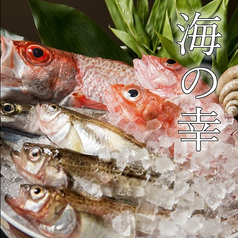 割烹もりもとの特集写真