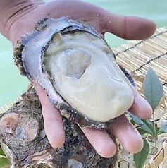 岩牡蠣