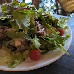 イベリコ豚とアボカドのシーザーサラダ