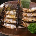 料理メニュー写真&nbsp;背黒いわしのめざし