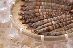 本千葉酒場 ムゲンの特集写真