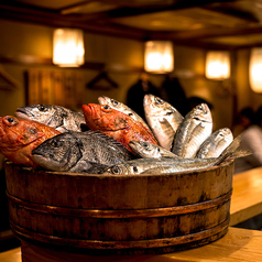 ながしろ水産 海鮮居酒屋 かけつけ一杯の写真2