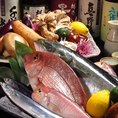 新潟の旬が味わえる居酒屋！海鮮鮮魚や旬の食材をご提供！個室も充実で宴会にも◎