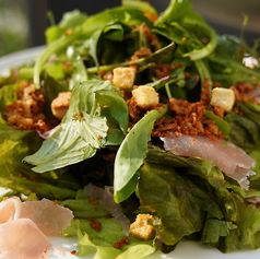 グリーンサラダ