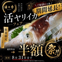 活ヤリイカ姿造り半額フェアー！！～８/３１迄。