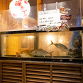 獲れたての活き活きとした鯛・サザエ・ほっき貝の大きな水槽も魅力。注文が入ってからあげて丁寧に調理するので新鮮なものをお召し上がりください♪