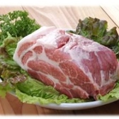 餃子家龍の餃子は広島県産のもち豚を使用しています！ジューシーな肉汁とキャベツの食感をたっぷり楽しめます！