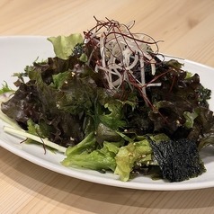 チョレギサラダ