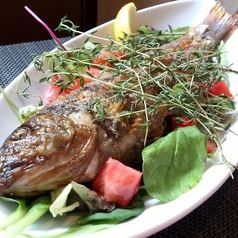 鮮魚の香草ロースト