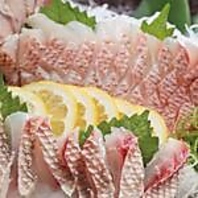 本日の産直鮮魚