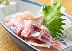 鯉のあらい