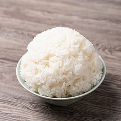 白飯 (大盛り無料)