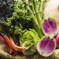 朝採れ野菜と高級食材を堪能◆選べる多彩なコースあり