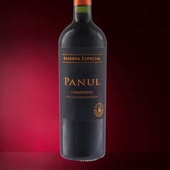 【赤】ビーニャ・マルチグエ　パヌール カルメネール R・E（フルボディ）750ml