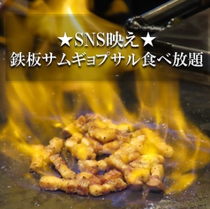 鉄板サムギョプサル＆韓国料理　食べ放題　宮（MIYA）新大久保本店のコース写真