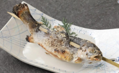 ビワマスの姿囲炉裏焼き