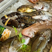 新鮮な活魚を生簀から直接厨房へ