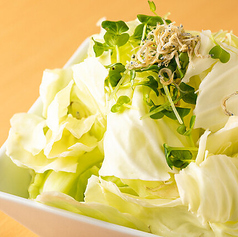 塩キャベツ