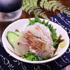 【鮮魚刺身】一人前盛り