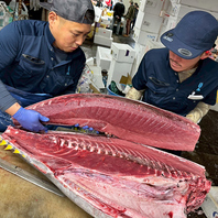 仲卸「礒崎」から仕入れる、極上の鮮魚