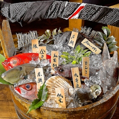 四十八漁場 秋葉原昭和通り口店の特集写真