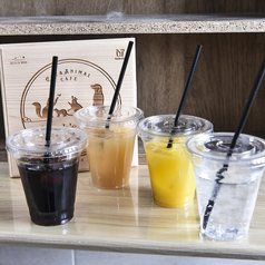 Cat&amp;Animal Cafe Noah s Ark ノアズアーク 祇園店の写真