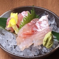 料理メニュー写真 天然真鯛お造り
