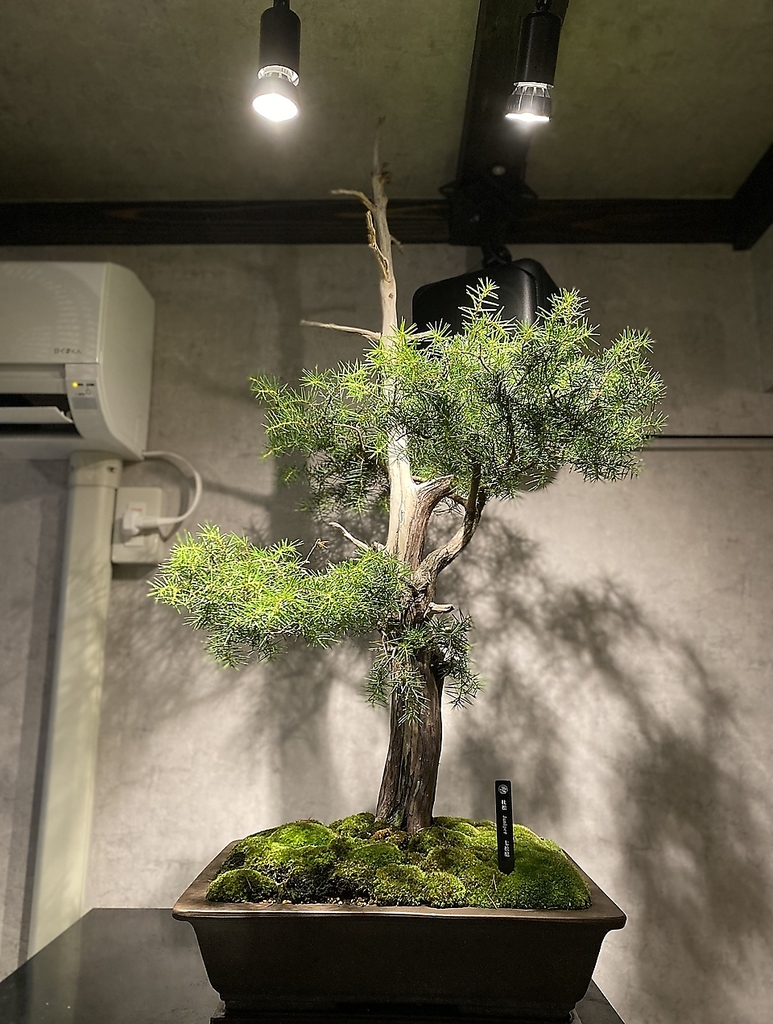 優しい光の照明と木の温もりを感じられる店内は心落ち着く空間に♪ごゆっくりお過ごしください◎