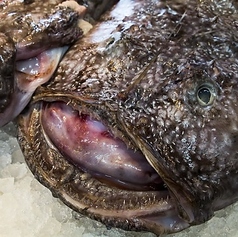 鮨 懐石 京料理 卓楽のコース写真