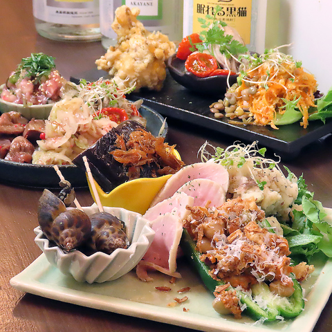 名駅エリアの大人の隠れ家。おばんざい×鉄板料理が自慢！ビール・焼酎・日本酒充実◎