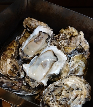 上人橋酒場 ととのおすすめ料理1