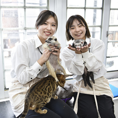 Cat&Animal Cafe Noah s Ark ノアズアーク 祇園店のおすすめ料理1