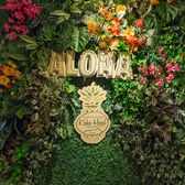 Koko Head cafe OSAKA ココヘッドカフェ 大阪の雰囲気2