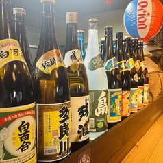 ハブとマングース 高知店のコース写真