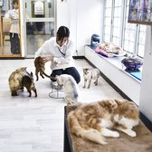 Cat&Animal Cafe Noah s Ark ノアズアーク 祇園店の雰囲気3
