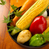 当店では、福島県内の契約農家から届く新鮮な野菜をふんだんに使用しています。採れたてだからこそ味わえる、シャキッとした食感と野菜本来の甘みや香りが魅力。季節ごとの旬の味覚を大切に、素材の持ち味を活かした料理をご提供しています。安心・安全で美味しい、地元の恵みをぜひご堪能ください。