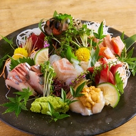 採れたて鮮魚が絶品◎日本海が誇る海産物を召し上がれ♪