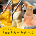 料理メニュー写真 3種のとろ～りチーズ
