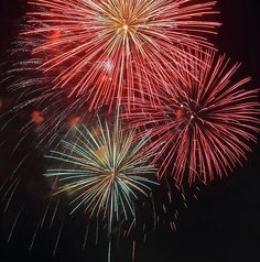 フレアージュダリアンスのコース写真