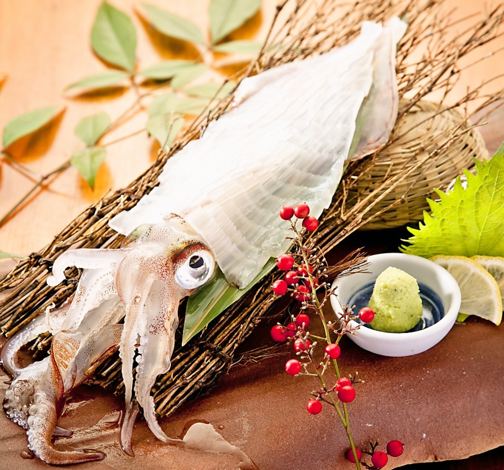 九州料理　水炊き もつ鍋 馬刺し イカ サバ 薬院 居酒屋 肉 薬院駅 渡辺通 飲み放題　大人の隠れ家