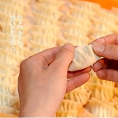 月間５万食販売！餃子家龍の餃子は生ギョーザだからキャベツのシャキシャキ食感が癖になる