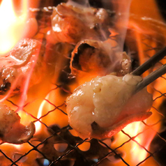 ホルモン焼肉居酒屋 富塚屋の写真