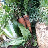 【素材のこだわり"野菜"】毎朝、地域一番大岩食品さんから仕入れている国産新鮮野菜！野菜のとりづらい現代社会に無双の野菜増しがオススメ！