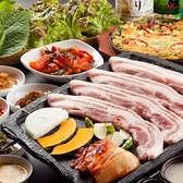 【韓味】の魅力を凝縮したイチオシコースが登場!大人気の「選べる鍋」や「焼肉」、「サムギョプサル」をコスパ良く楽しめる、欲張りな内容となっています。厳選された本場の味を、種類豊富な美味しいお酒と共に心ゆくまでご堪能ください。上野での宴会や女子会は、最高の料理が揃う当店でLET'S PARTY!