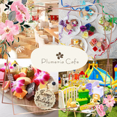 プルメリアカフェ Plumeria Cafe