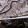 【冬】玄関　雪の積もった日