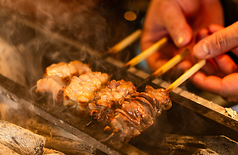 焼鶏 メジャーの特集写真
