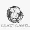 bar CRAZY CAMEL(クレイジーキャメル)二次会 個室のURL1