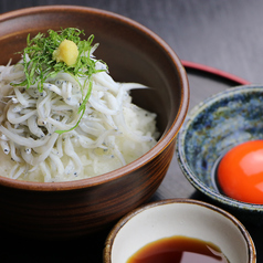 【和歌山名産】和歌山産しらすご飯