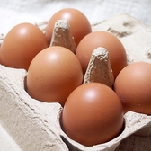 【素材のこだわり"卵"】徳島県産、今田養鶏場さんの新鮮有精卵！卵は優れた機能性食品！老化防止・脳の活性化に無双の有精卵！
